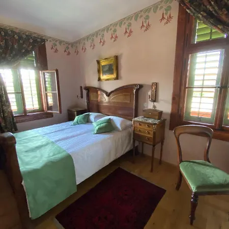 Ruska Daca 3* Ljubljana